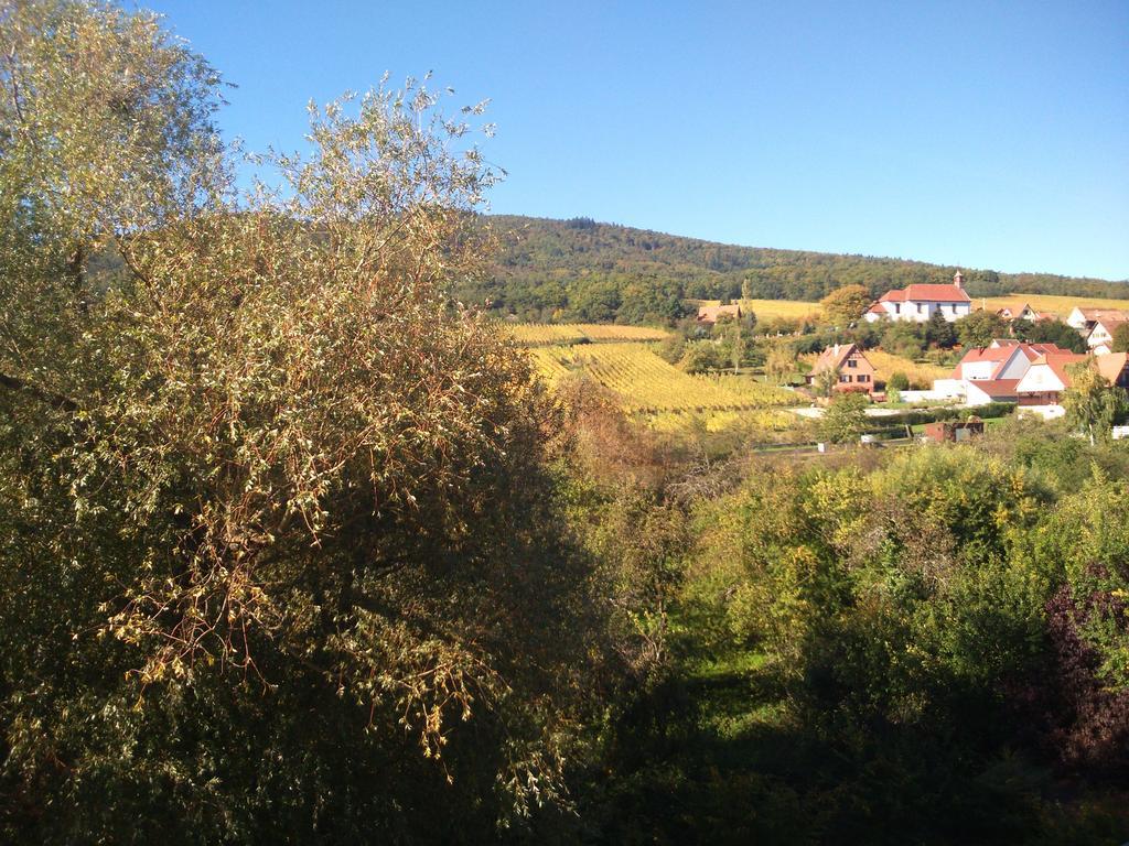 Dieffenthal Hotel Restaurant Verger Des Chateaux, Route Des Vins Haut-Koenigsbourg מראה חיצוני תמונה