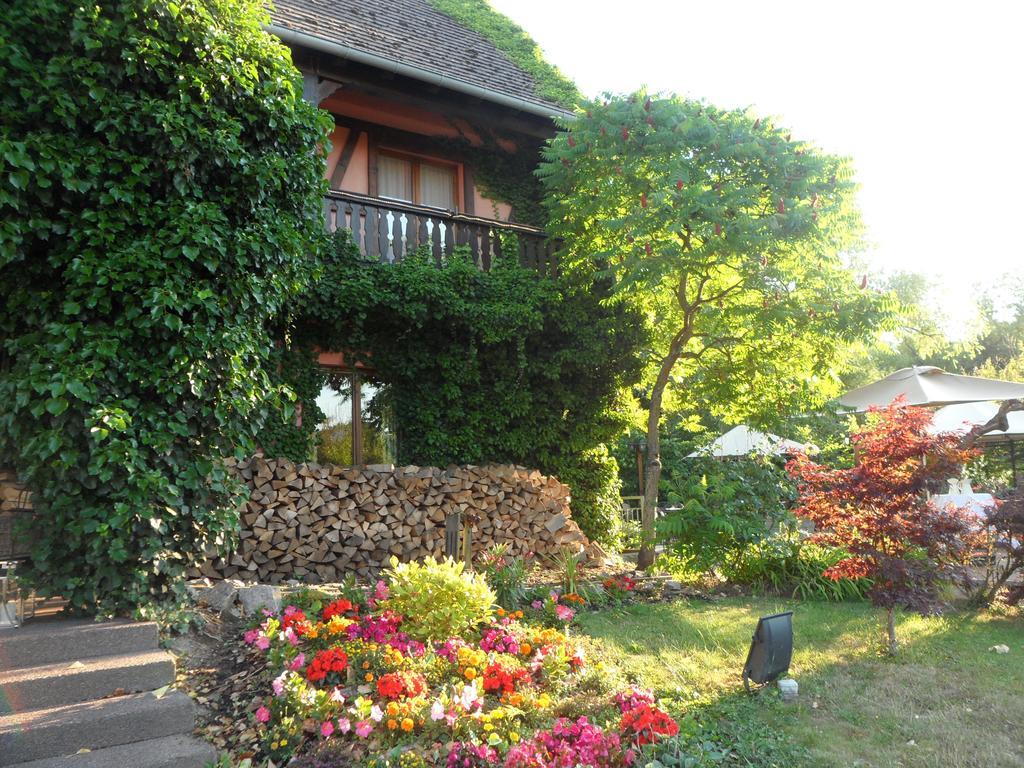 Dieffenthal Hotel Restaurant Verger Des Chateaux, Route Des Vins Haut-Koenigsbourg מראה חיצוני תמונה